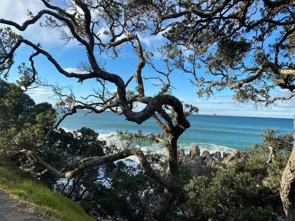Modern Beach Apartment With Pool & Location Mount Maunganui Eksteriør billede